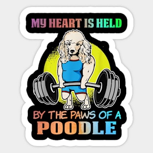 Cute poodle Sticker